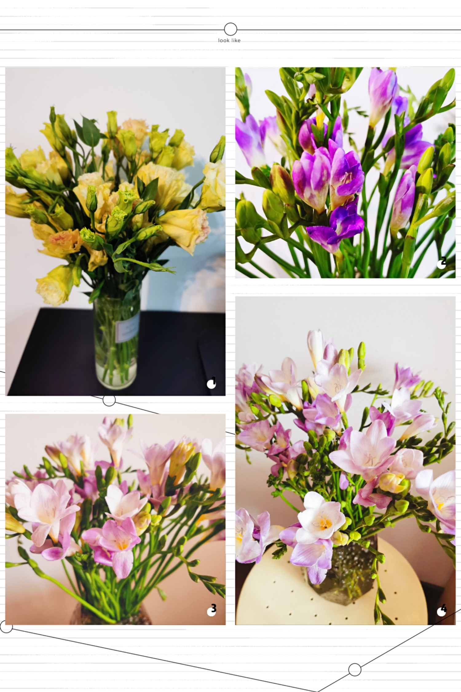 Happy Women’s Day | 戰疫時期，這個三八節，我們“e”起過！